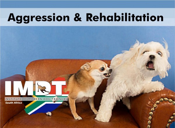 IMDT 1 DAY Canine Aggression and Rehabilitation - CT